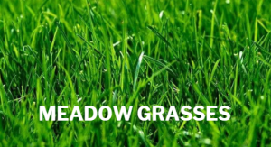 DIY Garden Garden Flowers Hanging baskets Landscaping Gardening Flowers near me Plants near me Ormskirk flowers Southport flowers Hallsall Flowers Gardening Ormskirk Gardening Southport Landscaping Southport Landscaping Ormskirk Landscaper Ormskirk Landscaper Burscough Landscaper Southport Outdoor Furniture Ormskirk Outdoor Furniture Southport Outdoor Furniture Burscough 