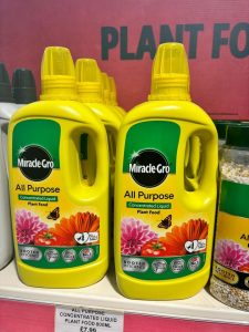 DIY Garden Garden Flowers Hanging baskets Landscaping Gardening Flowers near me Plants near me Ormskirk flowers Southport flowers Hallsall Flowers Gardening Ormskirk Gardening Southport Landscaping Southport Landscaping Ormskirk Landscaper Ormskirk Landscaper Burscough Landscaper Southport Outdoor Furniture Ormskirk Outdoor Furniture Southport Outdoor Furniture Burscough 