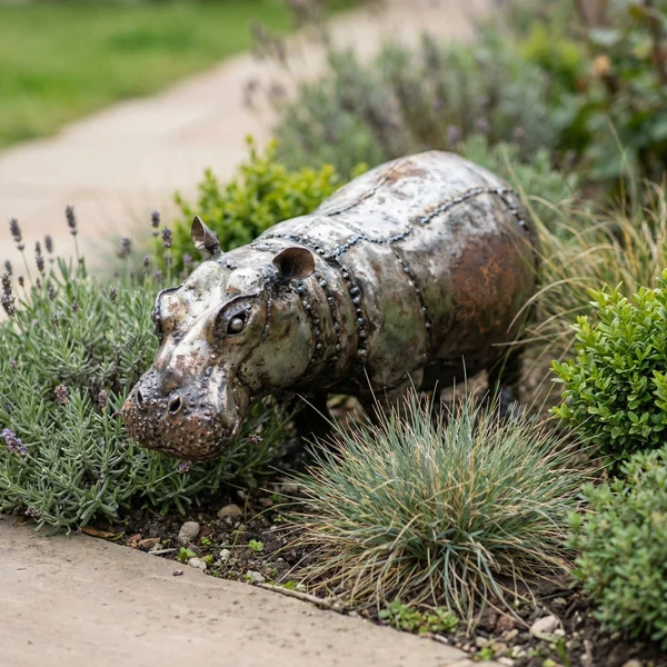 Hippo - Small - Image 2