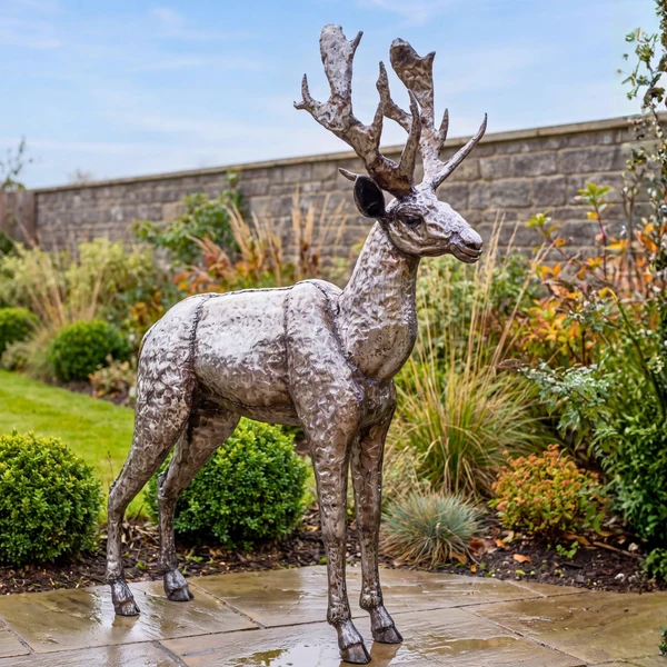 Stag - Adult - Image 2