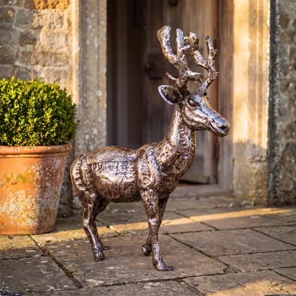 Stag - Young - Image 3
