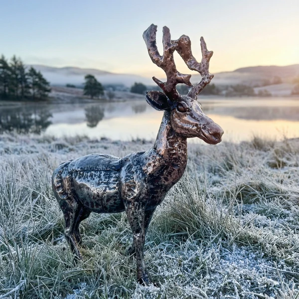 Stag - Young - Image 2
